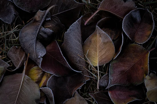 Eyeem 100051230 151504371