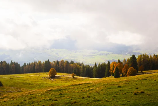 Eyeem 100011869 151996860