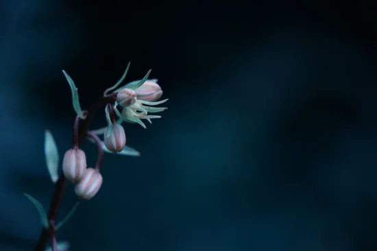 Eyeem 100011869 125227974
